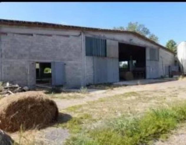 Immobile in asta di 1500 m² in vendita a Malagnino - Foto 10