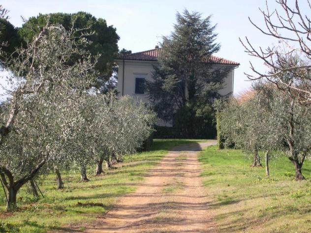 Terreno agricolo in vendita a Casale Marittimo 240000 mq Rif: 1177352 - Foto 7