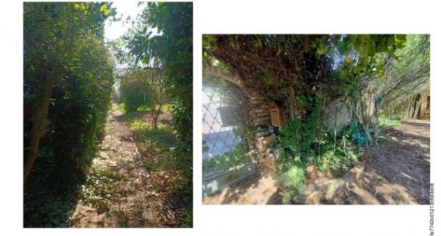 Immobile in asta di 1255 m² in vendita a Cesenatico - Foto 11