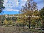 RIF 111 Un'opportunità unica per chi sogna di vivere immerso nella natura!