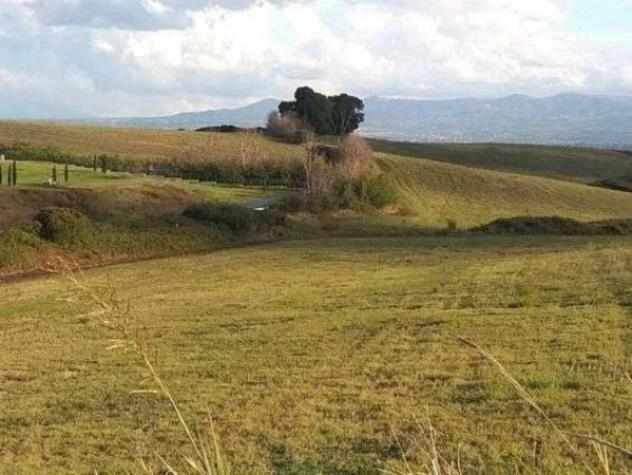 Immobile in asta di 281311 m² in vendita a Guidonia Montecelio - Foto 3