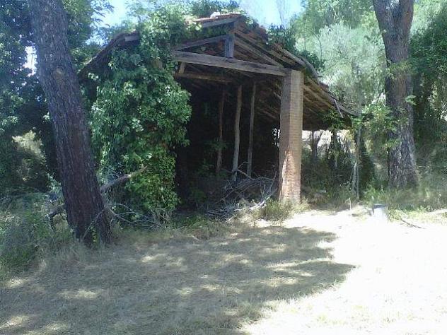 Rustico in vendita a Legoli - Peccioli 300 mq Rif: 1382136 - Foto 5