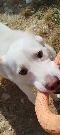 Casper