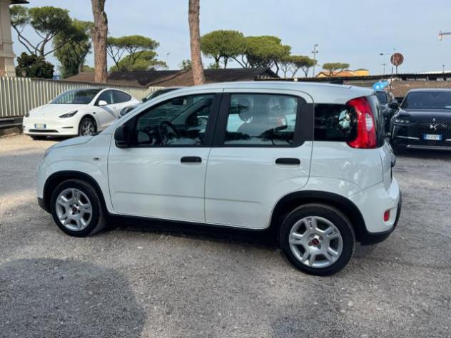 FIAT Panda Hybrid Citylife 1.0cc 70cv rif. 24175664 - Foto 5