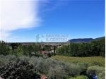 Appartamento in bifamiliare con cantina e giardino