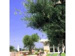 Coppe di Murgia Resort