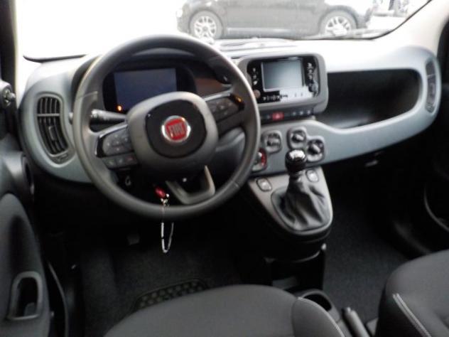 FIAT Panda MY25 - 1.0 FireFly Hybrid POP rif. 24089263 - Foto 7