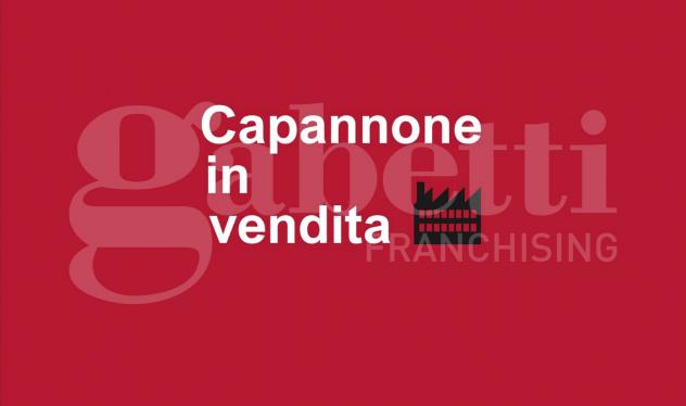 Capannone Industriale - Camisano Vicentino . Rif.: Cod. rif 3316410VCG - Foto 2