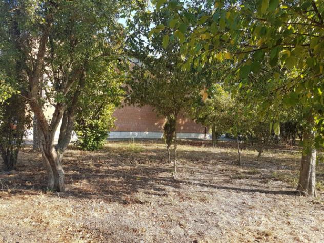Immobile di 160 m² in vendita a Carpi - Foto 6