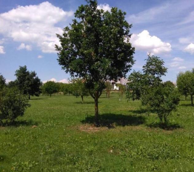 Terreno di 700 m² in vendita a Carpi