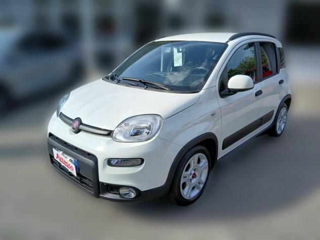FIAT Panda 3ª serie Panda 1.0 FireFly S&S Hybrid