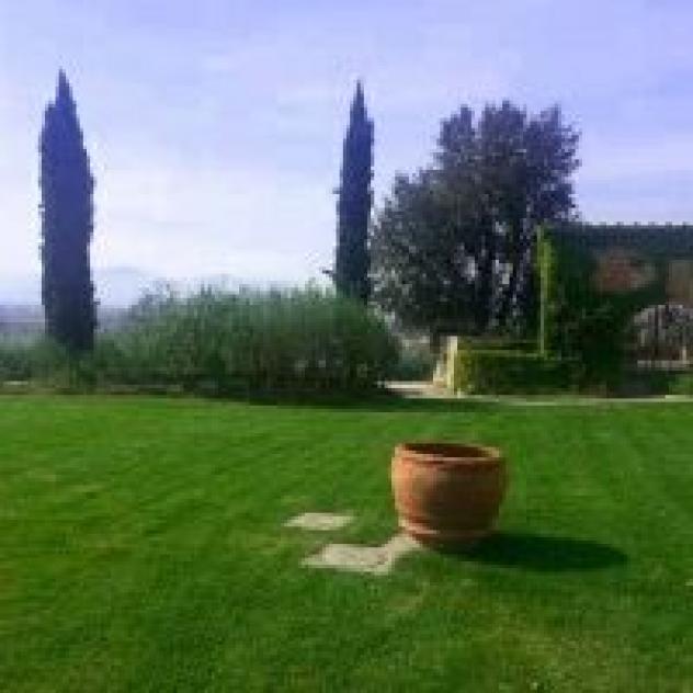 L'Uliveta S.r.l. - Foto 4