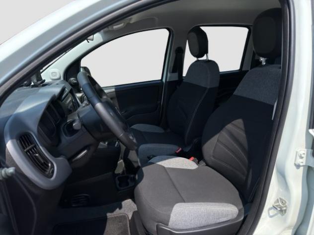 FIAT Panda Panda 1.0 FireFly Hybrid City Life rif. 23915763 - Foto 10