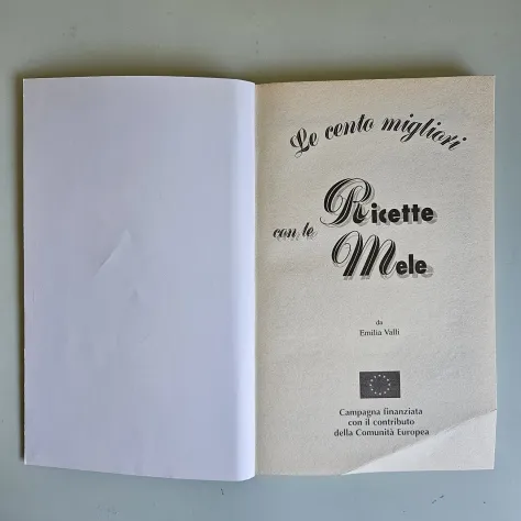 Le Cento Migliori Ricette con le Mele - E.Valli - EurFru - 1999 - TRACCIATA! - Foto 4