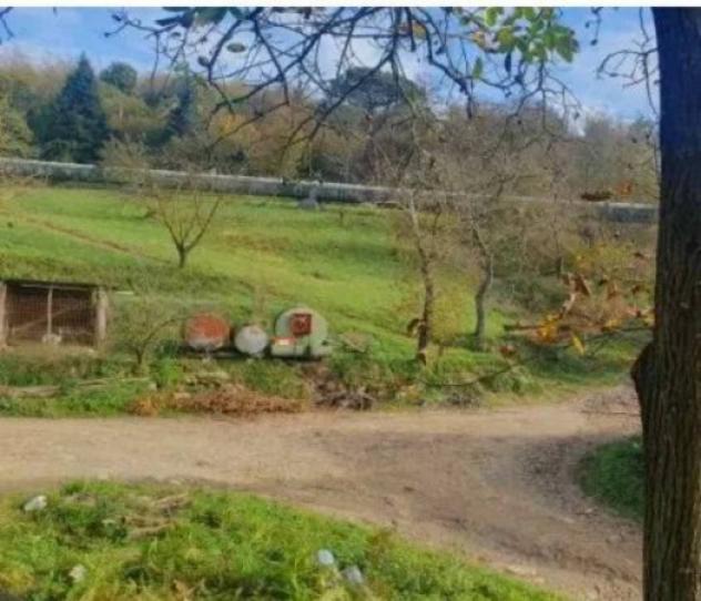 Immobile in asta di 174275 m² in vendita a Pieve Fosciana - Foto 8