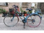 Bicicletta donna 28" Vendo bicicletta donna 28 pollici con cambio anteriore a 3