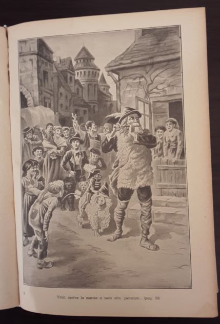 SENZA FAMIGLIA, ETTORE MALOT, CASA EDITRICE SONZOGNO 1948 - Foto 4