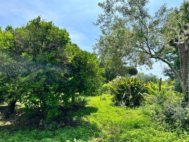 Terreno in vendita a Aci Sant'Antonio - Foto 15