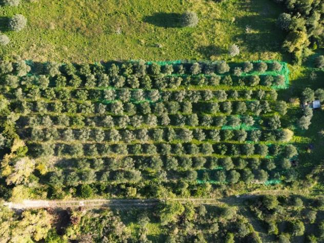 Agricolo in Via Provinciale - Foto 6