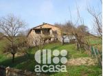 CASALE DA RISTRUTTURARE CON TERRENO  AGRICOLO