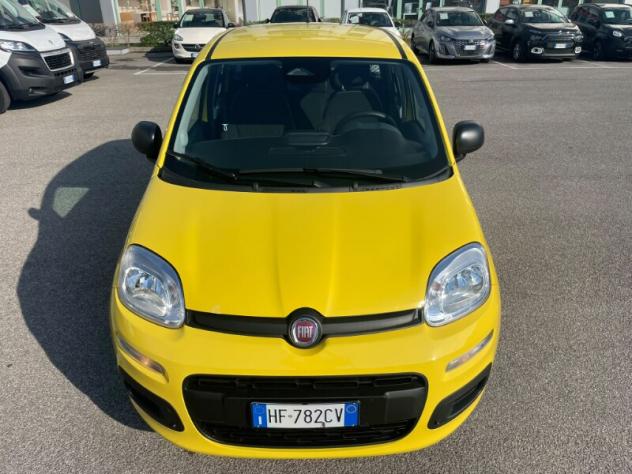 FIAT Pandina Pandina 1.0 FireFly 65 CV Hybrid Icon - Foto 4