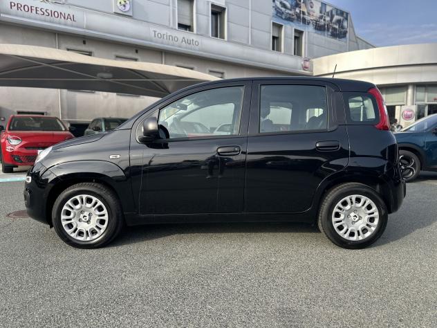 FIAT Panda Panda 1.0 FireFly S&S Hybrid - Foto 4