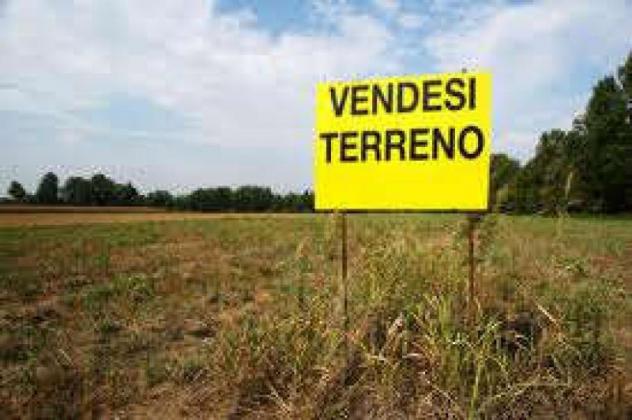 Terreno agricolo in vendita a Casciavola - Cascina 6000 mq Rif: 1048413