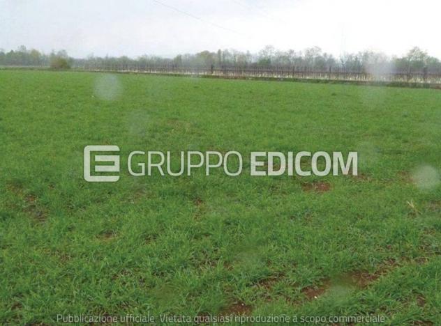 Terreno di 13090 mq in vendita a Paese - Rif. 4549350 - Foto 3