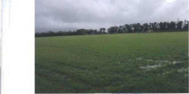 Immobile in asta di 88446 m² in vendita a Terracina - Foto 7