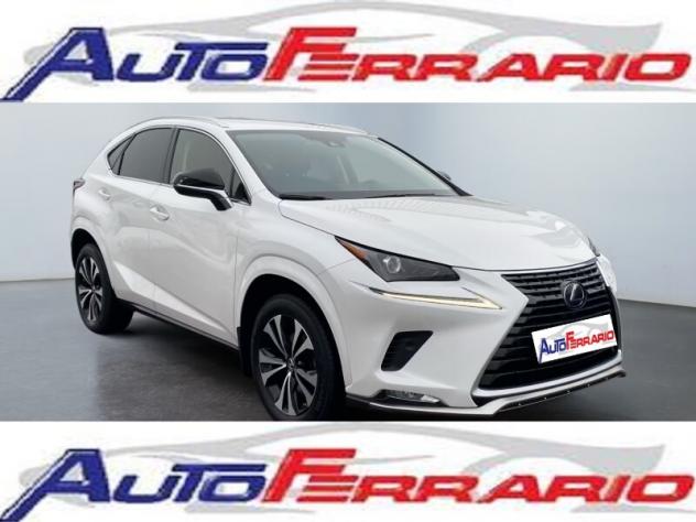 LEXUS NX 1ª serie NX Hybrid Business - Foto 3