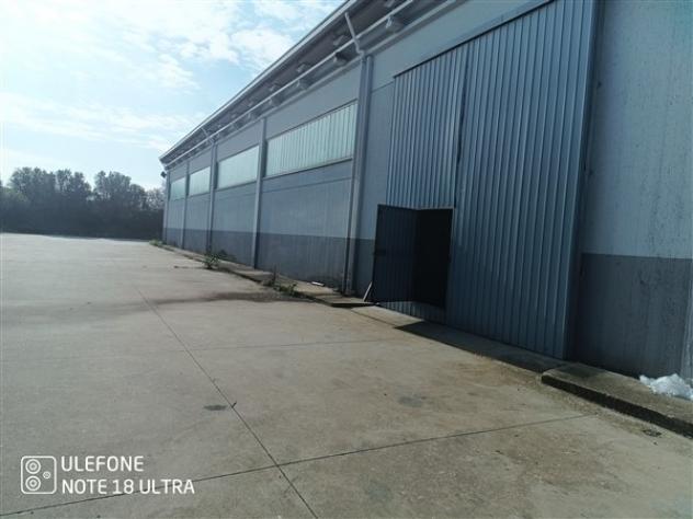 USINI periferia CAPANNONE di 400mq circa com cellafrigo e ufficio - Foto 3
