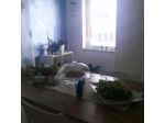 B&B Le Terrazze