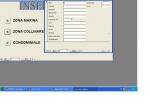 SOFTWARE GESTIONALE AFFITTI E VENDITE IMMOBILI SU PEN DRIVE O PER EMAIL Nuovo