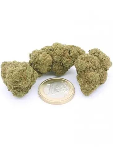 Super Silver Haze - Foto 3