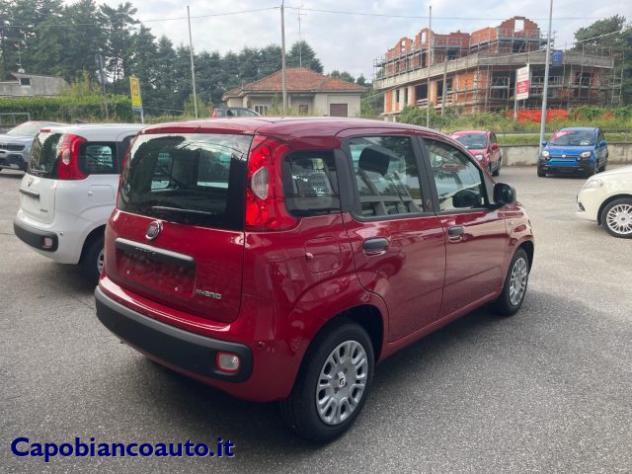 FIAT Panda 1.0 FireFly S&S Hybrid POP KM0 PROMO rif. 24099397 - Foto 3