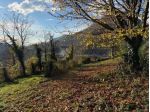 Terreno Agricolo - Nembro . Rif.: Cod. rif 3282803VCG