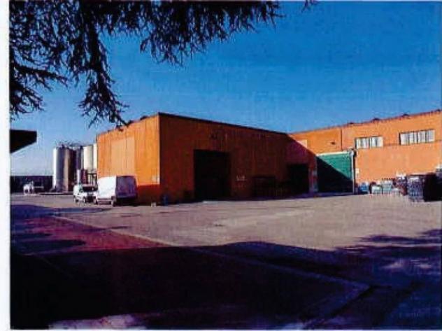 Immobile in asta di 5985 m² in vendita a Bevagna - Foto 5