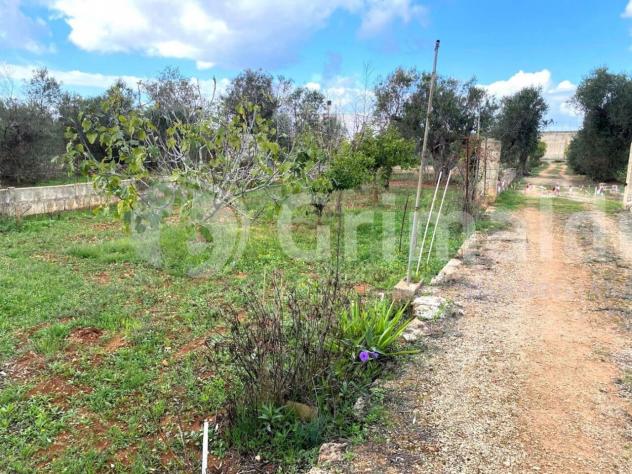 Terreno edificabile in vendita a Sannicola - Foto 12