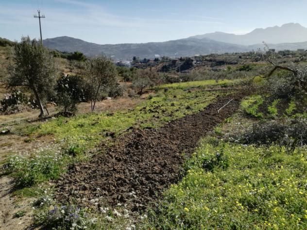 Agricolo in SP126 - Foto 18
