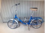 grazielle carnielli 22"e16"