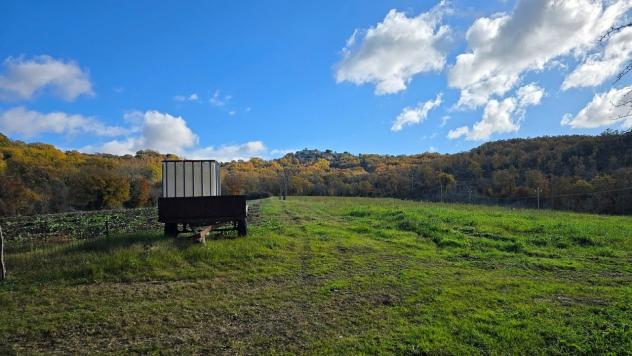 Azienda Agricola in vendita a Baschi - Foto 18