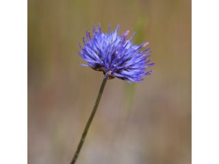 Corso base di fotografia