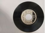 R84 -  MANFRED MANN MIGHTY QUINN