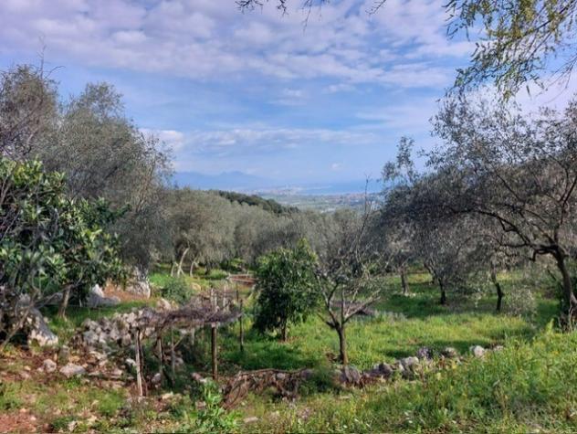 Rustico in vendita a Ameglia - Foto 5