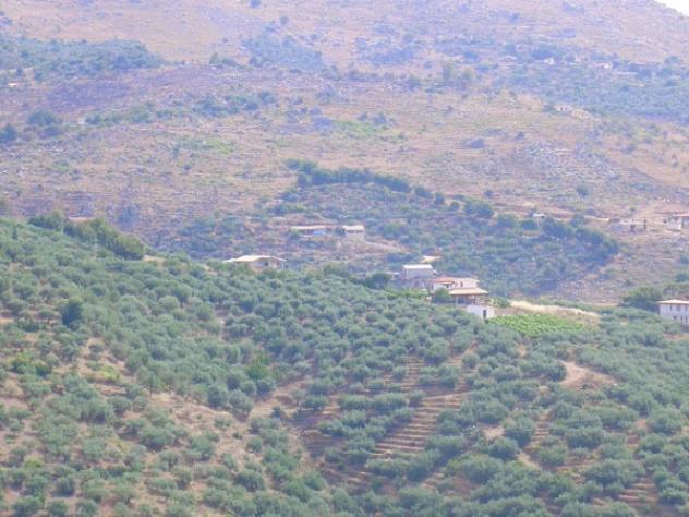 Immobile in asta di 2234 m² in vendita a Belmonte Mezzagno - Foto 3