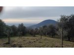 Terreno agricolo sui Colli Euganei