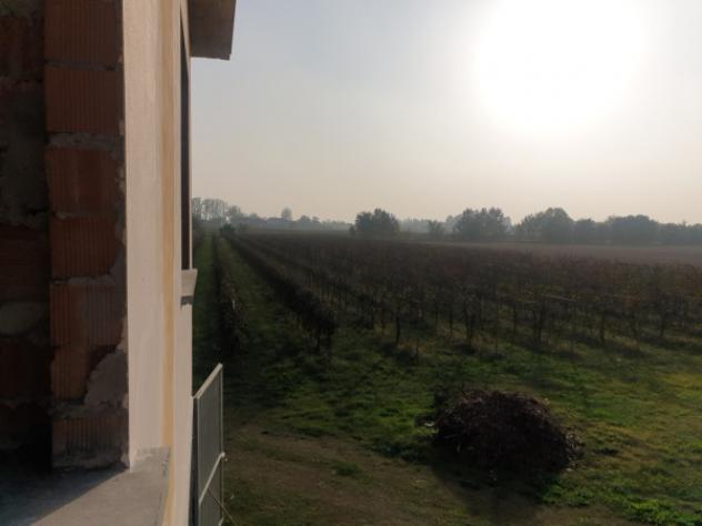 Terreno di 15000 m² in vendita a Correggio - Foto 11