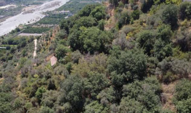 Immobile in asta di 920 m² in vendita a Merì