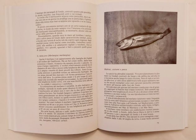 Pesca in Adriatico da terra e dalla barca di Roberto Melandri Edi.Olimpia, 1990 - Foto 8
