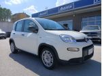 FIAT PANDA 1.0 BENZINA HYBRID 70CV 2023